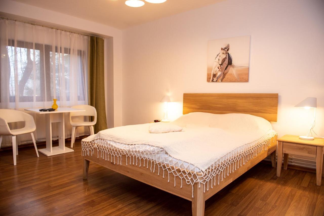 Classic Apartment Near The City Center Cluj-Napoca Exterior photo